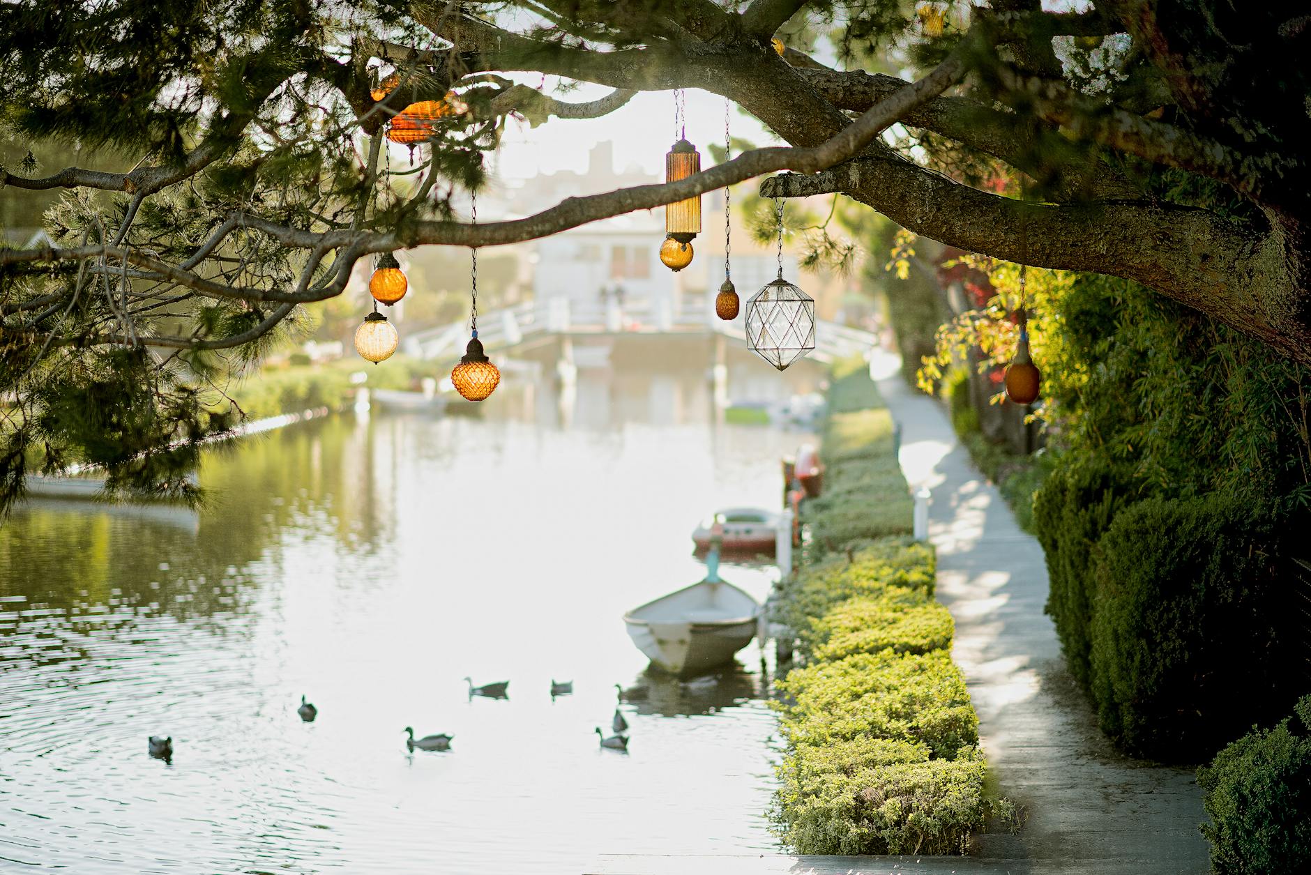 brown pendant lamp hanging on tree near river