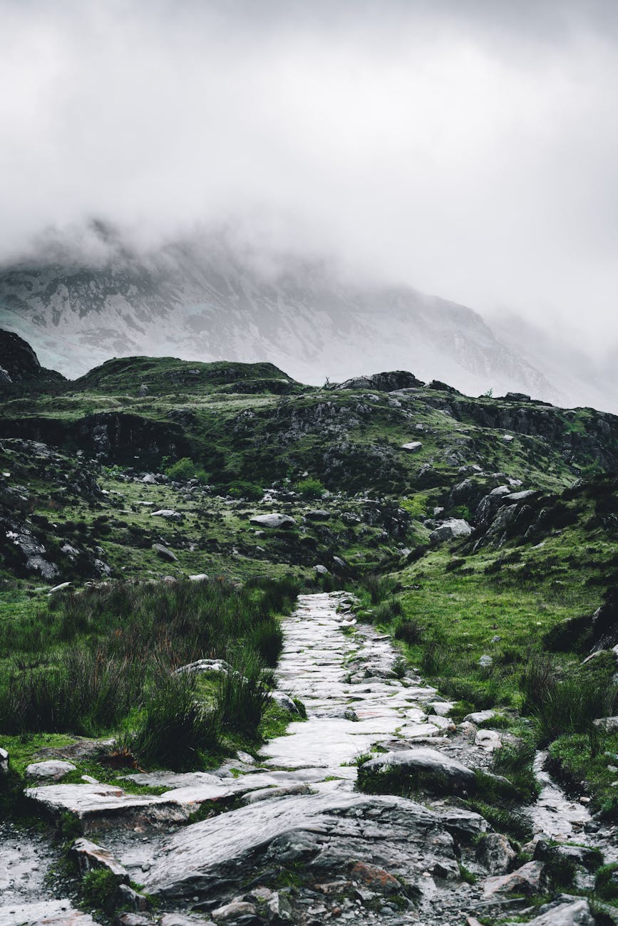 rocky pathway surrounded with grass