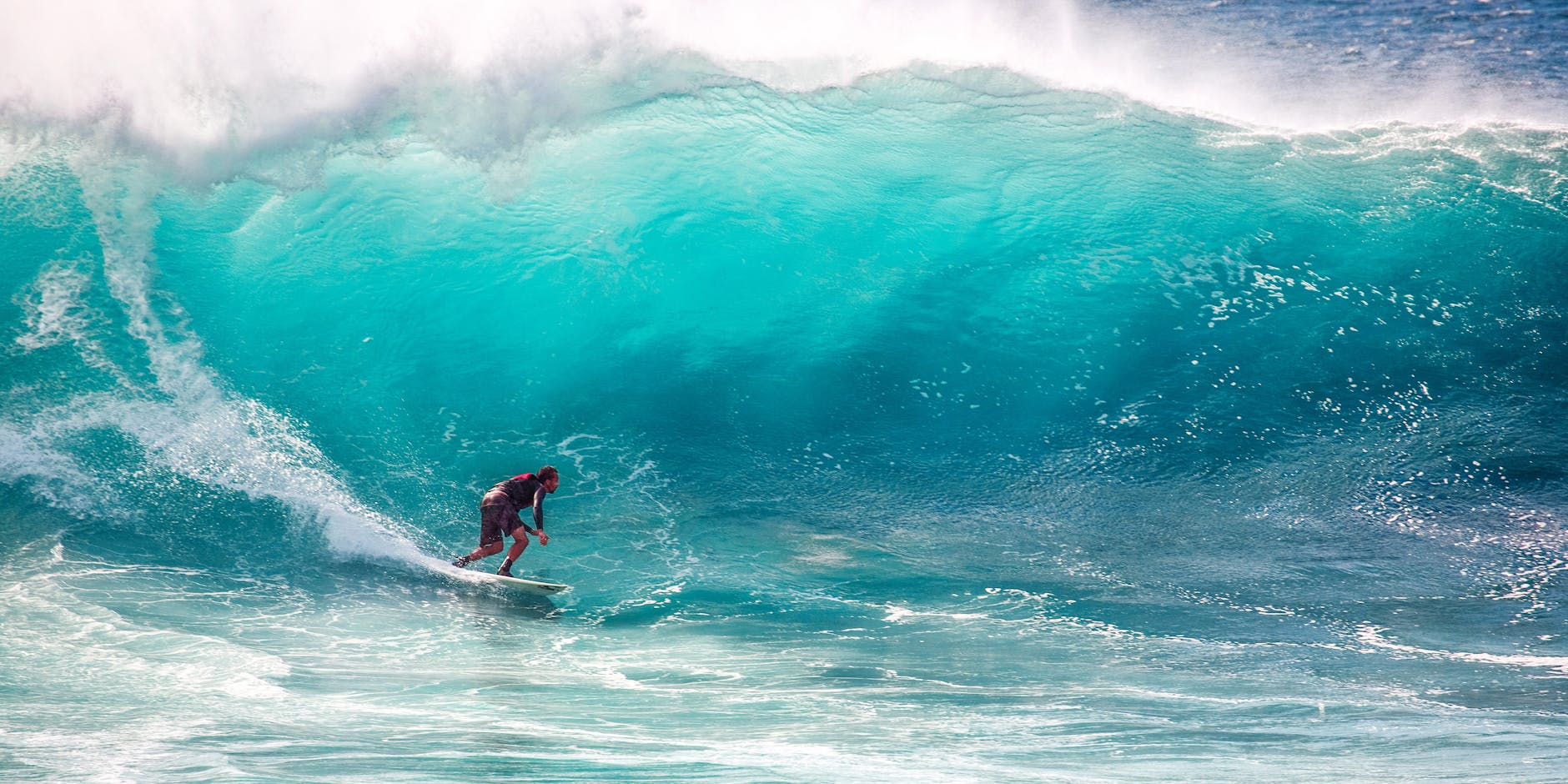 person surfing