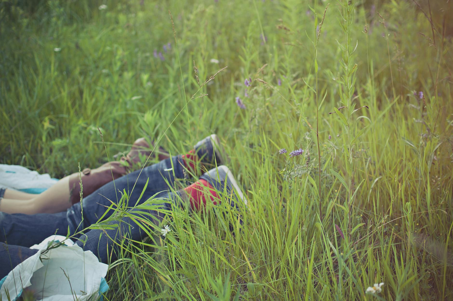 person lying on green grass field