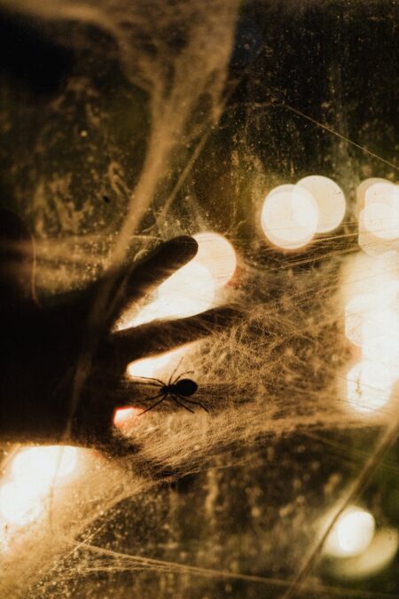 spooky photo of human hand and spider on web back lit