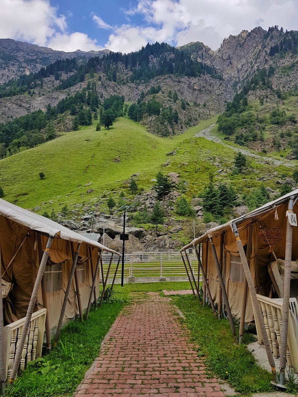 footpath with a view of the mountain