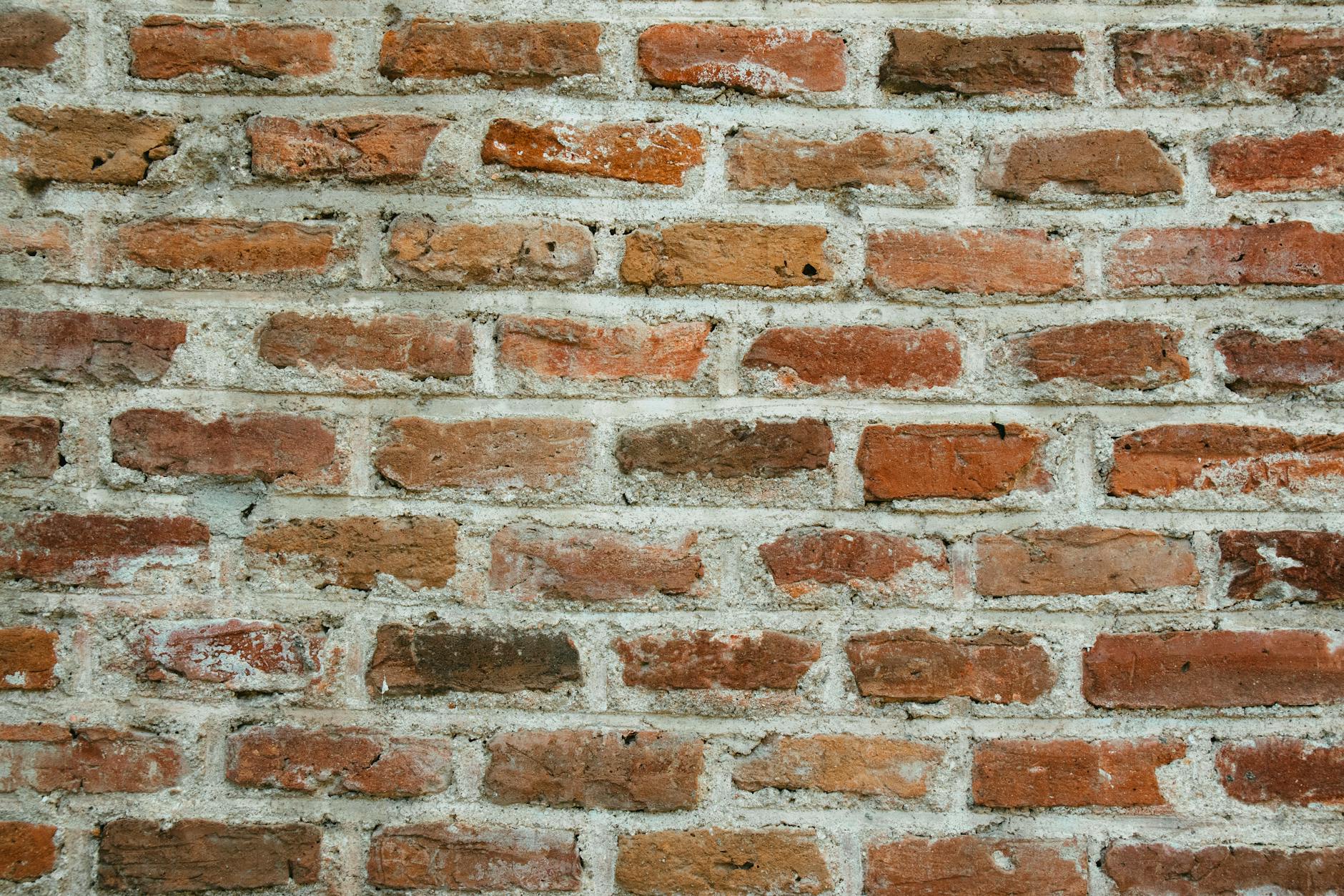 close up shot of a brick wall