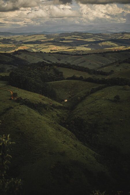 picturesque landscape of green valley