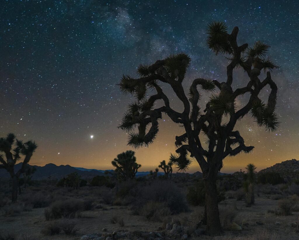 joshua tree national park in usa at night