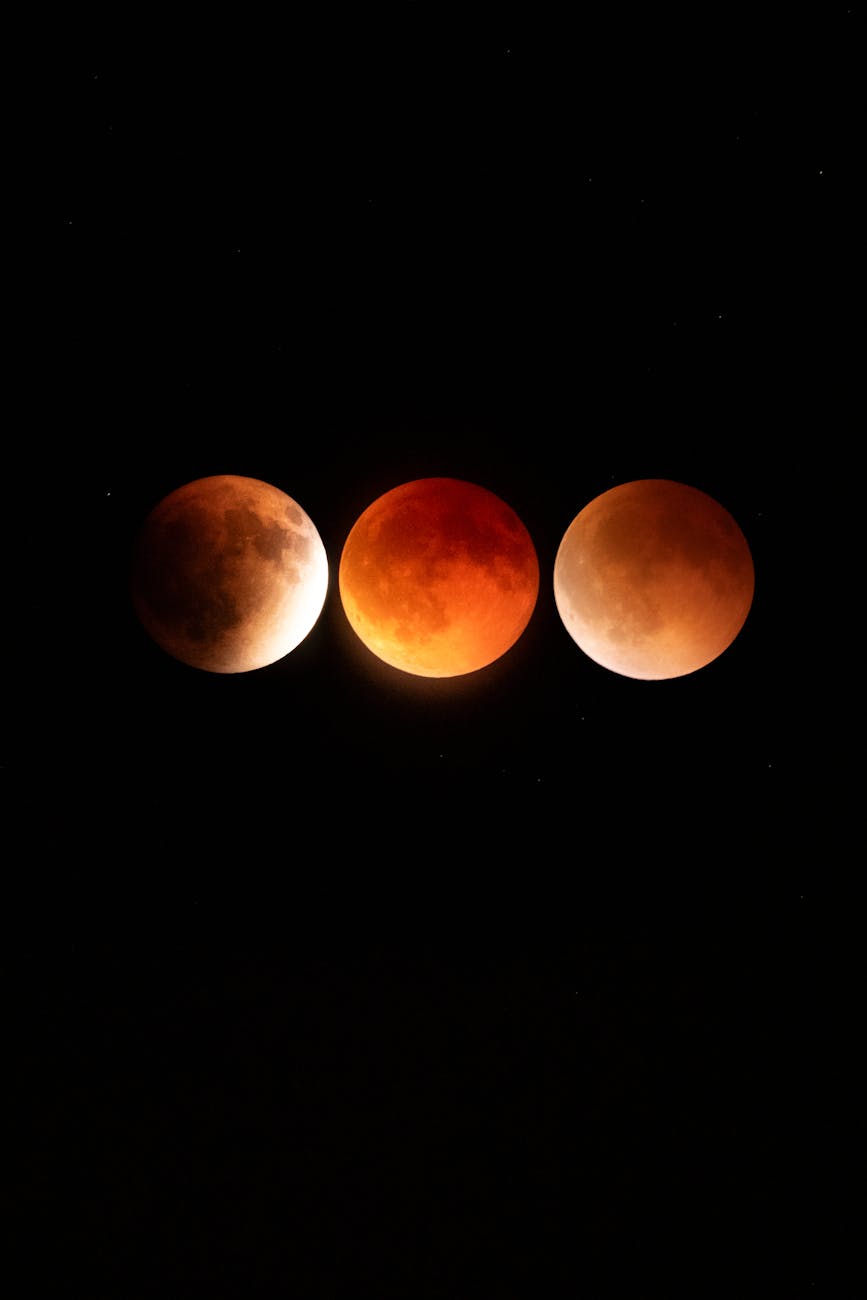 lunar eclipse phases displayed against night sky