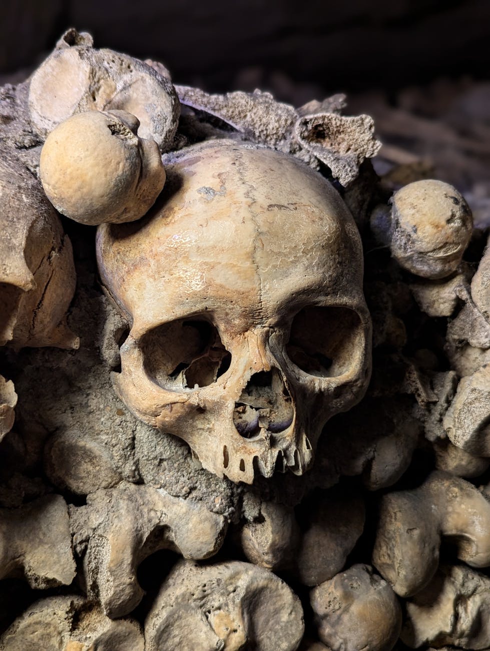 eerie skull display in paris catacombs
